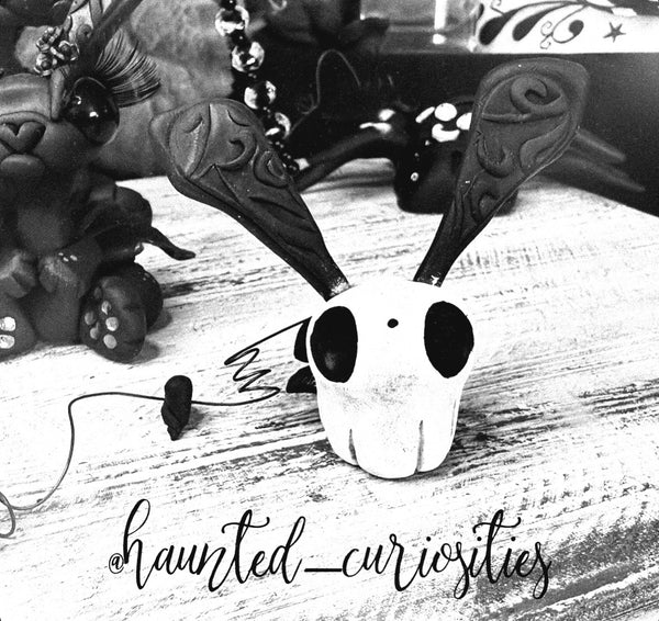 🖤How to Adopt🖤 INFORMATION LISTING ONLY *DO NOT PURCHASE*